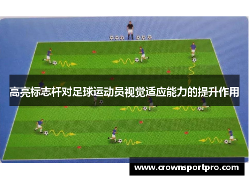 高亮标志杆对足球运动员视觉适应能力的提升作用